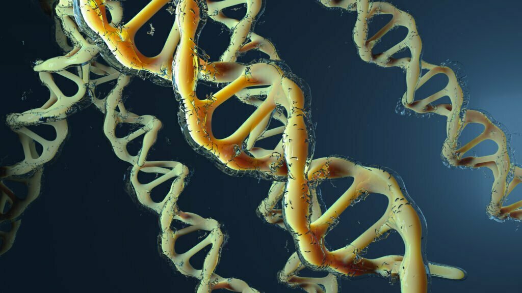 Understanding the Link Between DNA and Disease - Q Entertainment